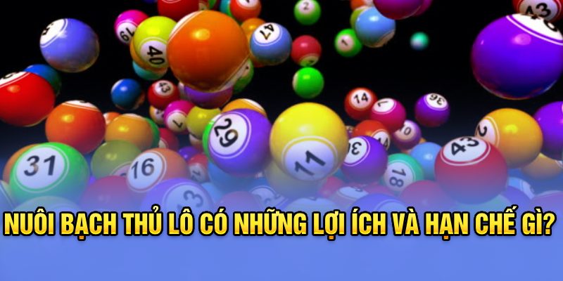 Nuôi bạch thủ lô có những lợi ích và hạn chế gì? 